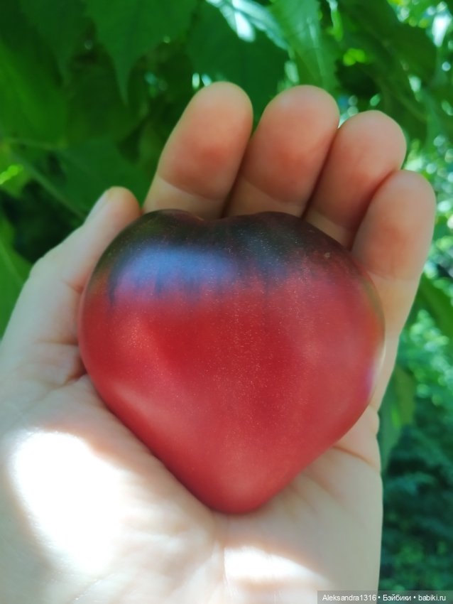 Дарю вам свое Сердце❤️ — Гибриды шарнирных кукол (не БЖД): подбор тела