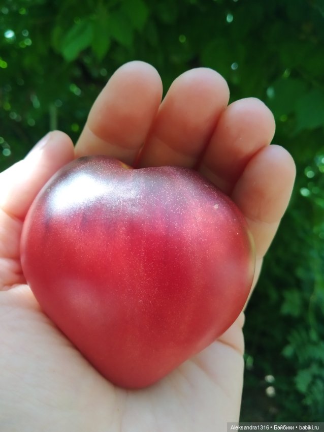 Дарю вам свое Сердце❤️ — Гибриды шарнирных кукол (не БЖД): подбор тела (фото 2)