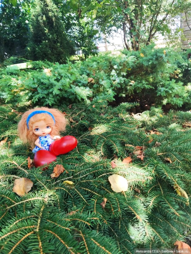 Дарю вам свое Сердце❤️ — Гибриды шарнирных кукол (не БЖД): подбор тела (фото 5)