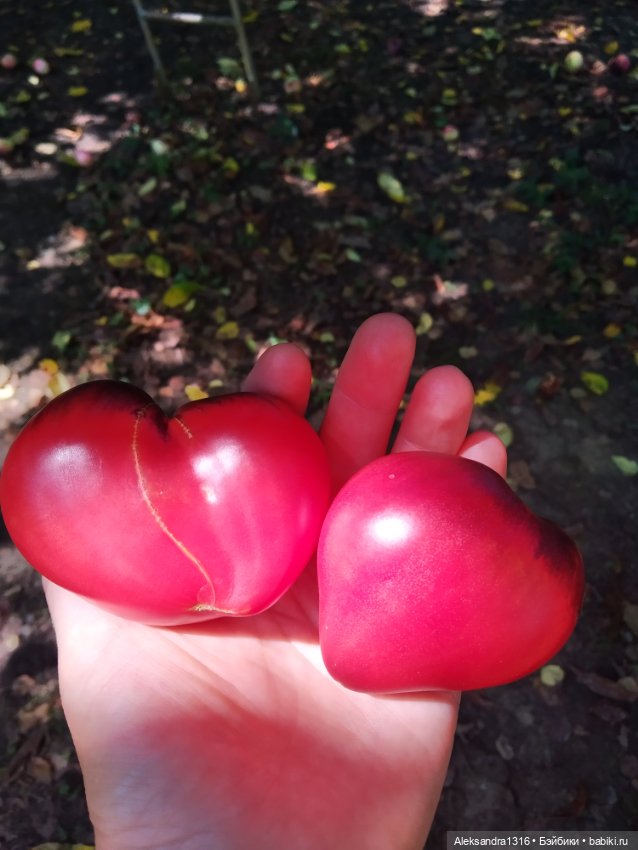 Дарю вам свое Сердце❤️ — Гибриды шарнирных кукол (не БЖД): подбор тела
