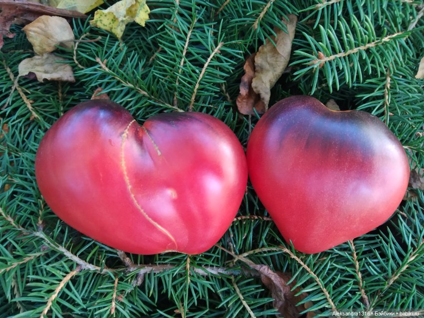 Дарю вам свое Сердце❤️ — Гибриды шарнирных кукол (не БЖД): подбор тела