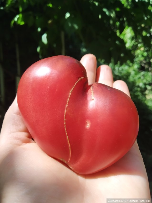 Дарю вам свое Сердце❤️ — Гибриды шарнирных кукол (не БЖД): подбор тела (фото 4)