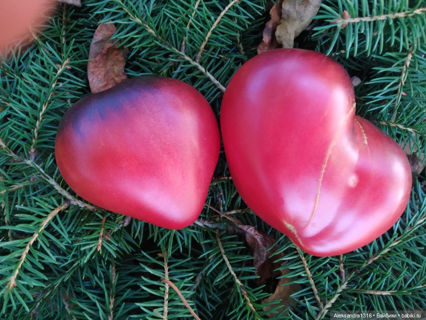 Дарю вам свое Сердце❤️ — Гибриды шарнирных кукол (не БЖД): подбор тела