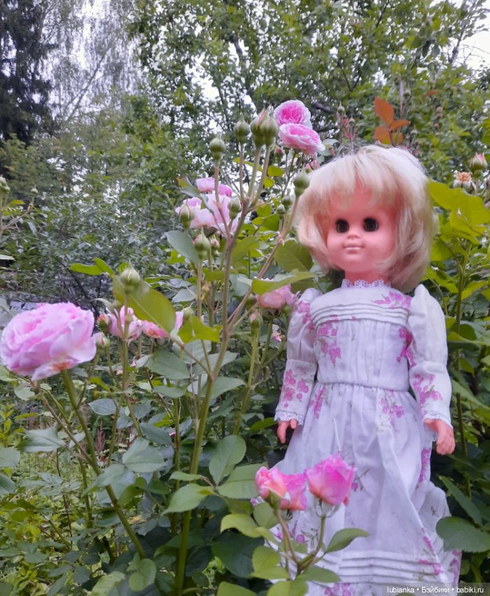 Моя прекрасная Розелла🥰💖🌸🌹