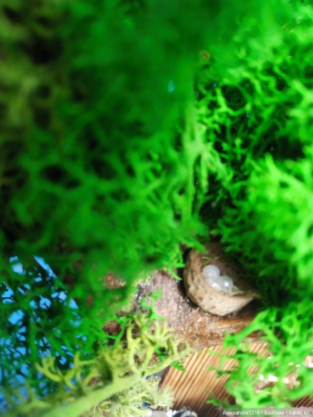 На мельнице🏘️ — Авторские игрушки из разных материалов: синельная проволока