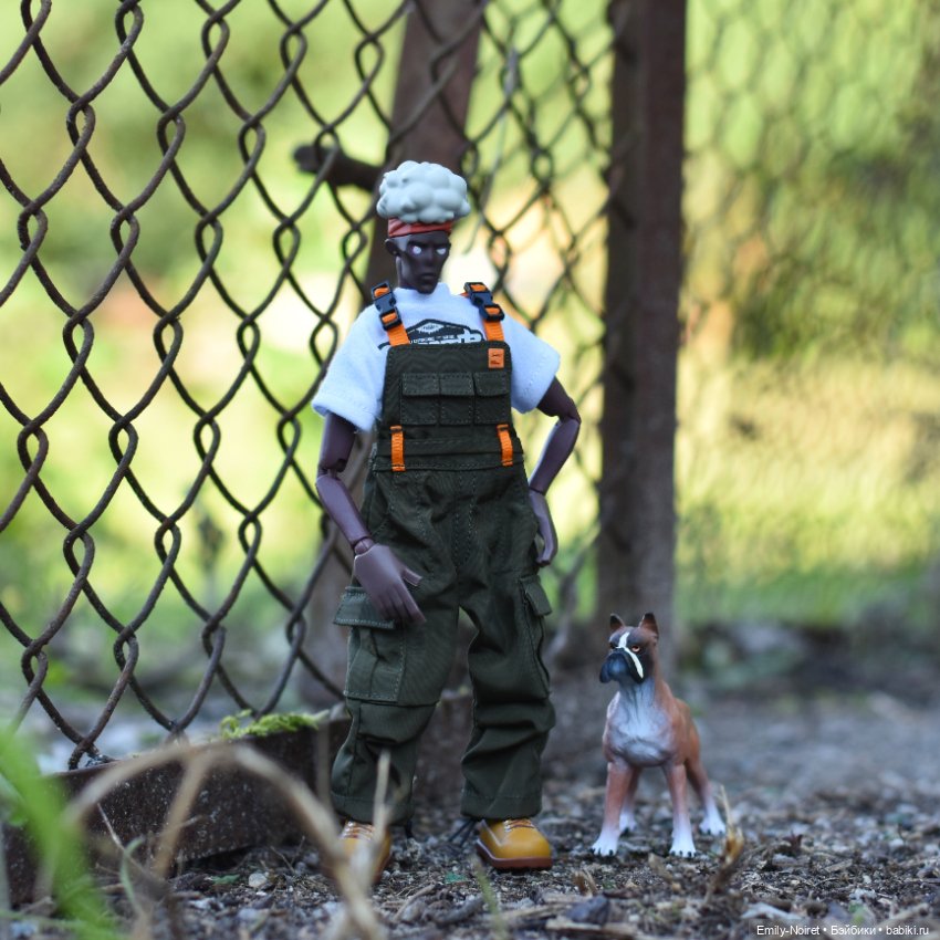 Кинг и его пёс — Коллекционные экшн