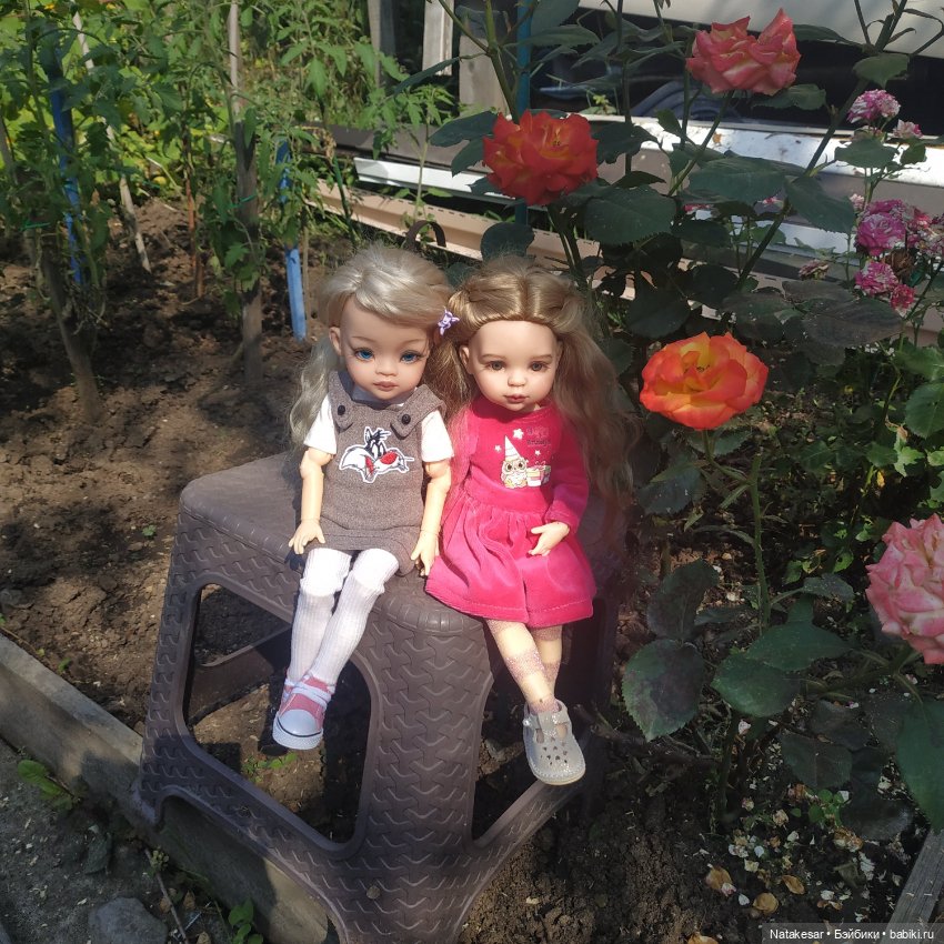 Мои ванильные красотки на прогулке (фото 7)
