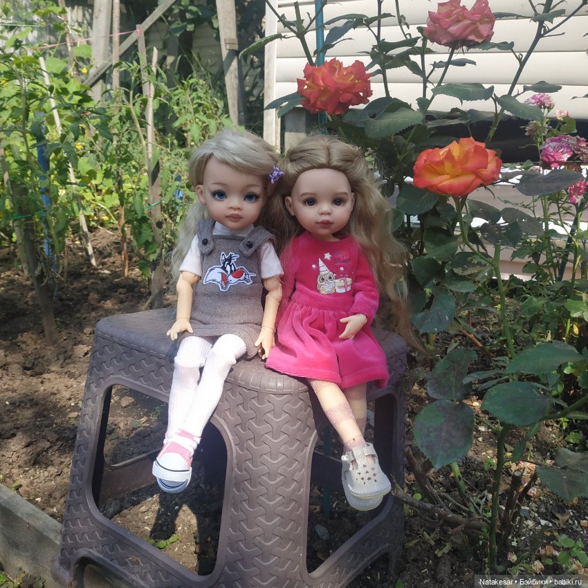 Мои ванильные красотки на прогулке (фото 2)