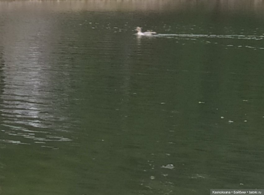 Лесное озеро — Разные шарнирные куклы (не БЖД): редкие (фото 9)