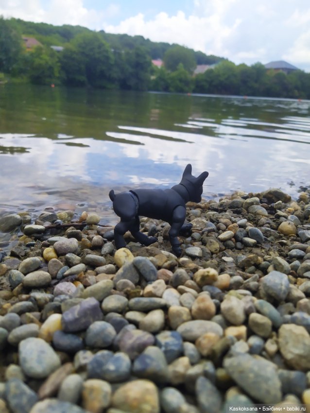 Лесное озеро — Разные шарнирные куклы (не БЖД): редкие