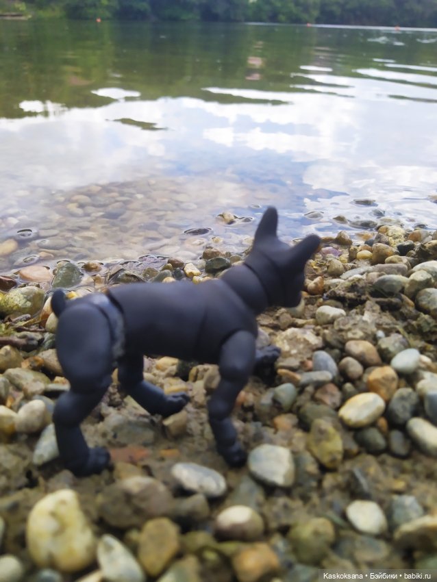 Лесное озеро — Разные шарнирные куклы (не БЖД): редкие