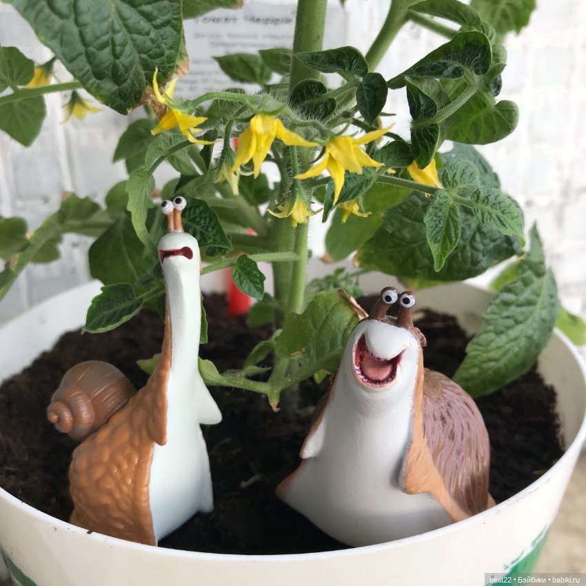 🐌 Gary, Mub and Grub — Коллекционные фигурки (разное): животные (фото 2)