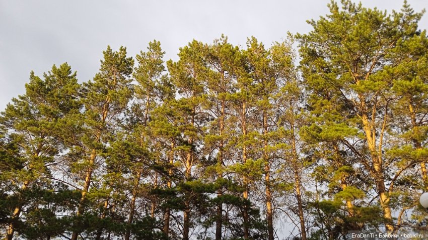 За минуту до сумерек — Туризм и путешествия: фотоотчеты из поездок (фото 7)