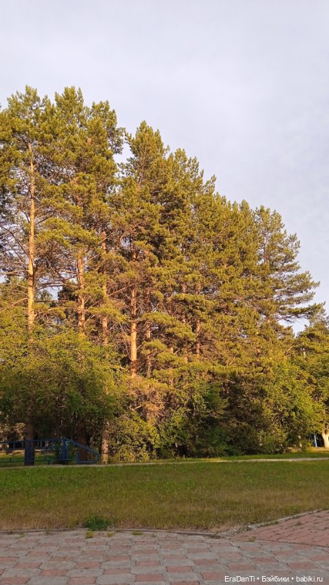 За минуту до сумерек — Туризм и путешествия: фотоотчеты из поездок (фото 5)