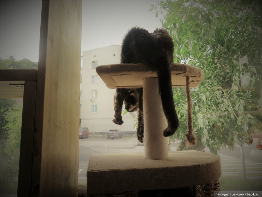 Середина лета с Milim Вика