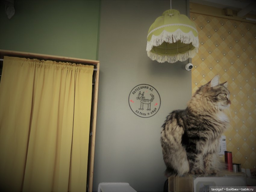 Середина лета с Milim Вика