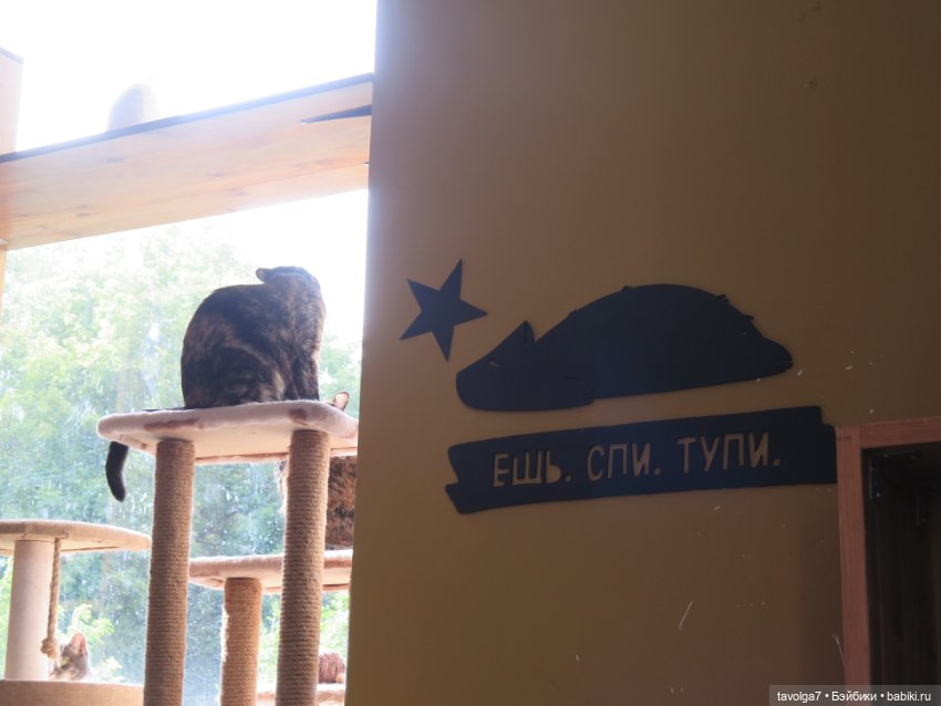 Середина лета с Milim Вика