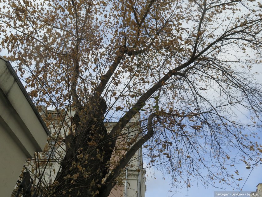 Середина лета с Milim Вика