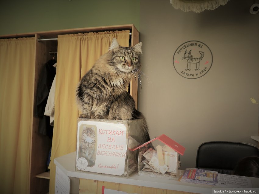 Середина лета с Milim Вика