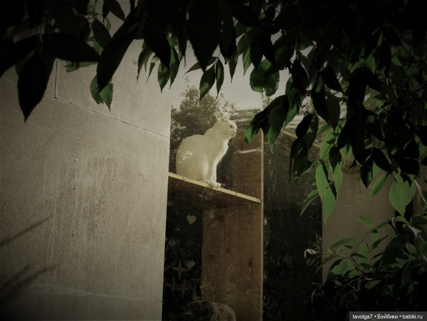 Середина лета с Milim Вика