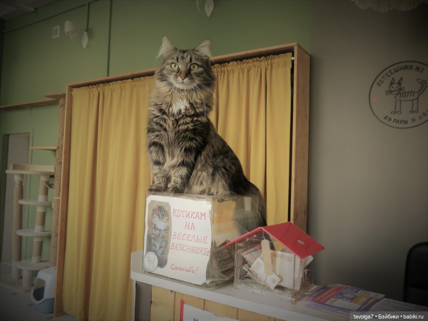 Середина лета с Milim Вика