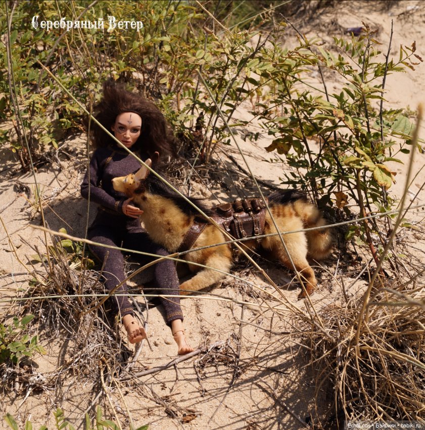 Гея и Zорг — Куклы Dart dolls (Анна Шиткина): российские BJD (БЖД) (фото 4)