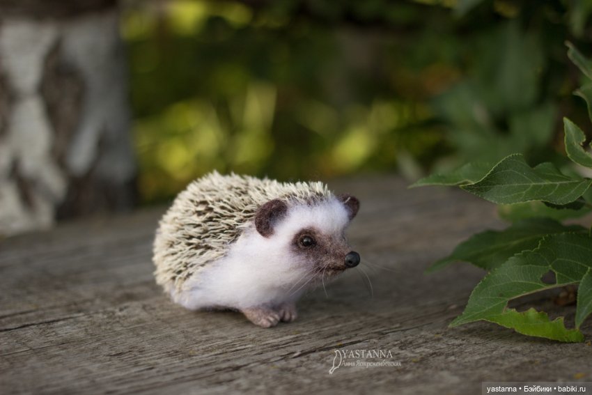 Ёжики — Валяные игрушки из шерсти: сухое валяние (фото 7)