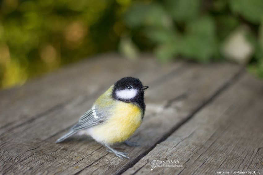 Мини птички — Валяные игрушки из шерсти: сухое валяние (фото 9)