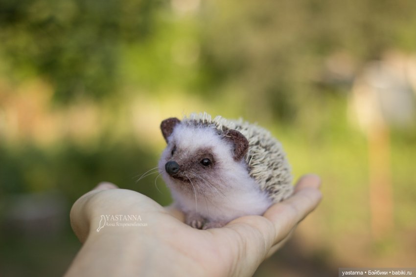 Ёжики — Валяные игрушки из шерсти: сухое валяние