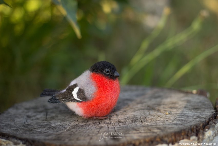 Мини птички — Валяные игрушки из шерсти: сухое валяние (фото 5)