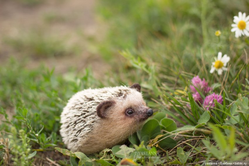 Ёжики — Валяные игрушки из шерсти: сухое валяние