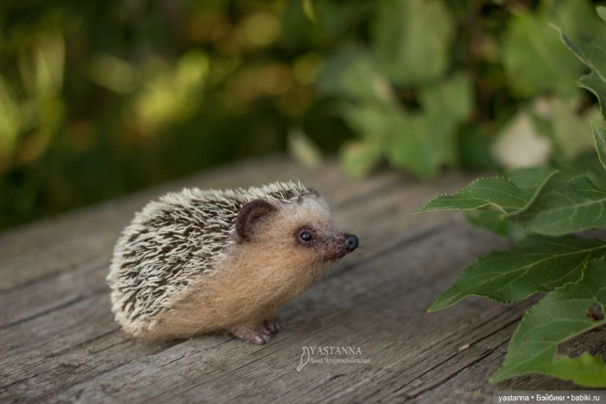 Ёжики — Валяные игрушки из шерсти: сухое валяние