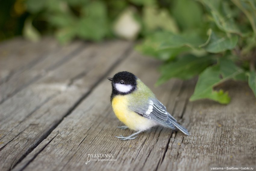 Мини птички — Валяные игрушки из шерсти: сухое валяние