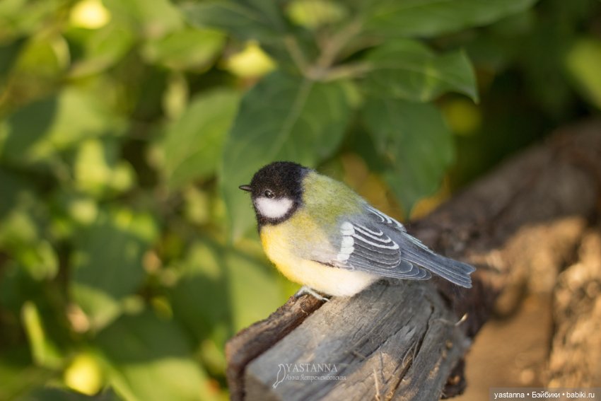 Мини птички — Валяные игрушки из шерсти: сухое валяние