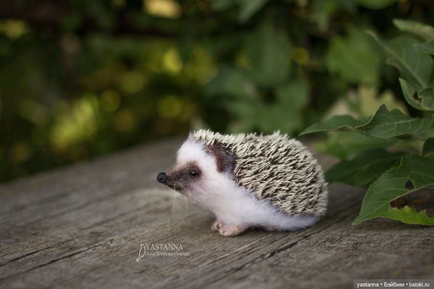 Ёжики — Валяные игрушки из шерсти: сухое валяние (фото 9)