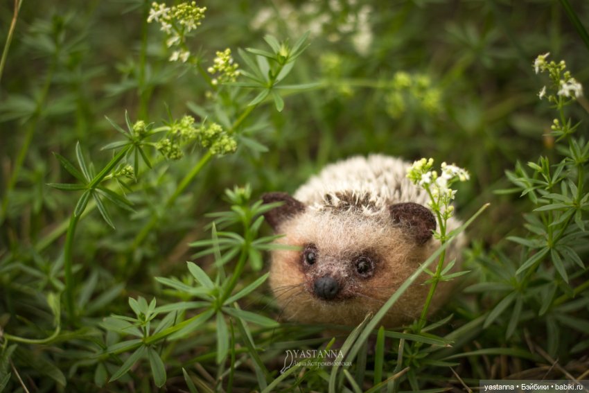 Ёжики — Валяные игрушки из шерсти: сухое валяние