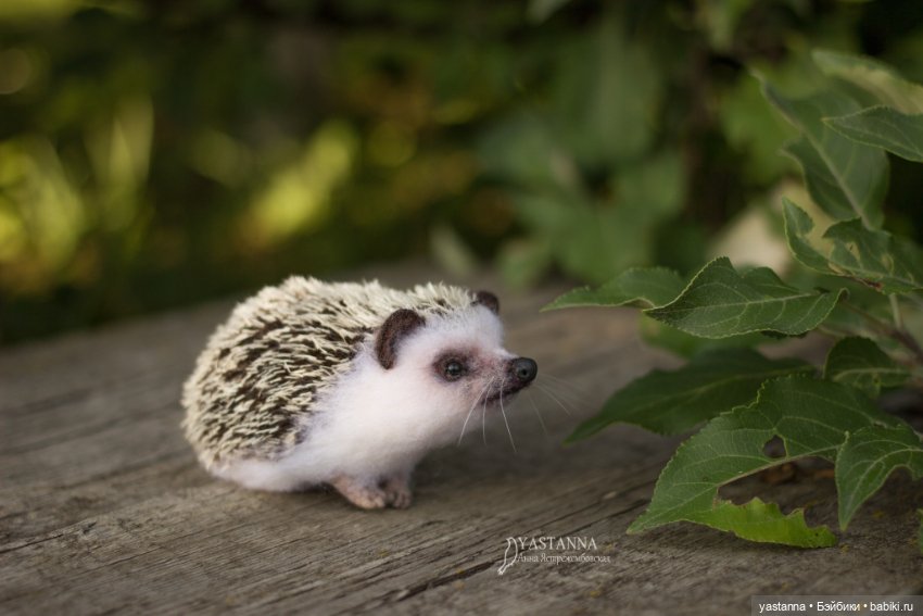 Ёжики — Валяные игрушки из шерсти: сухое валяние