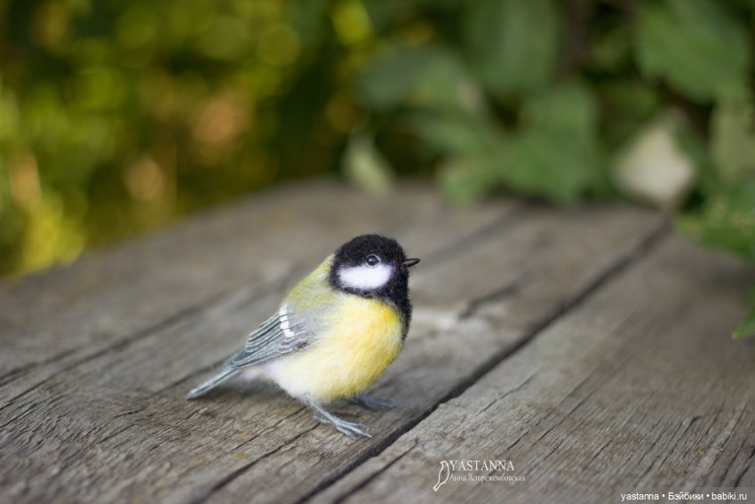 Мини птички — Валяные игрушки из шерсти: сухое валяние