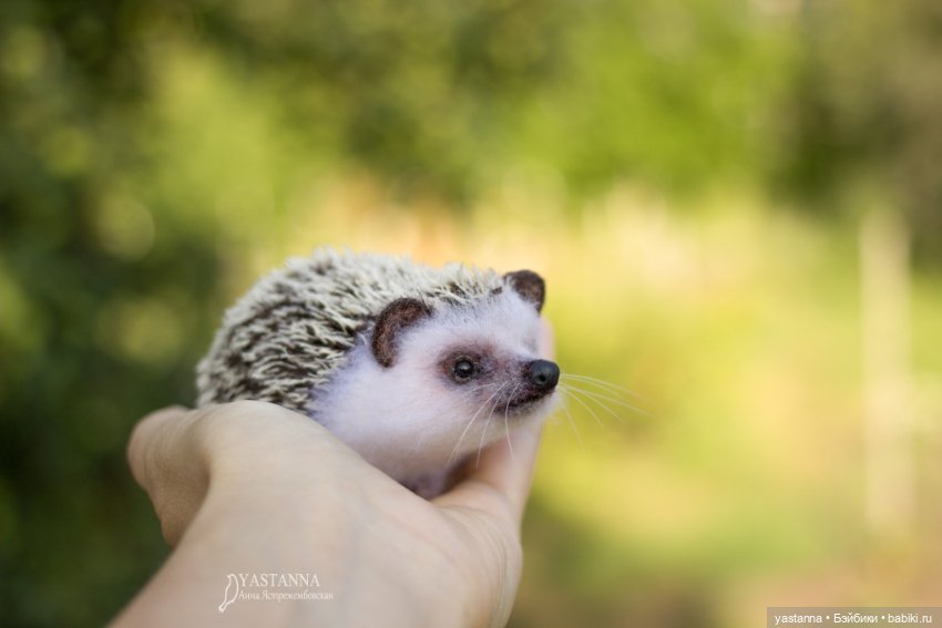 Ёжики — Валяные игрушки из шерсти: сухое валяние