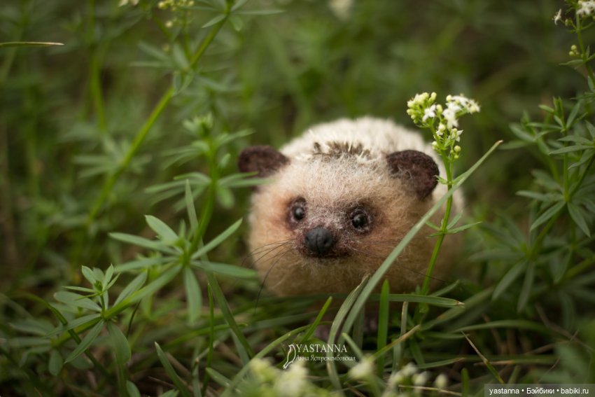 Ёжики — Валяные игрушки из шерсти: сухое валяние