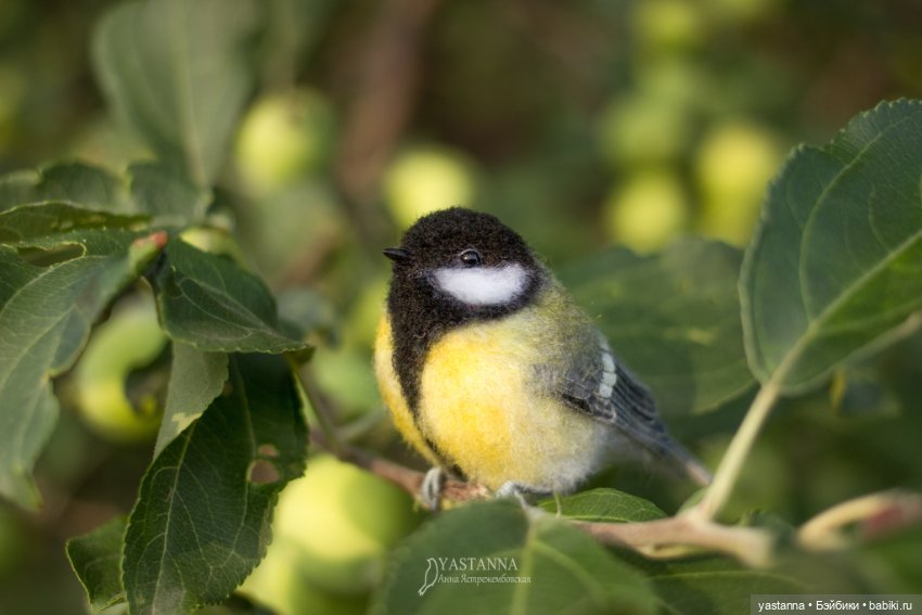 Мини птички — Валяные игрушки из шерсти: сухое валяние