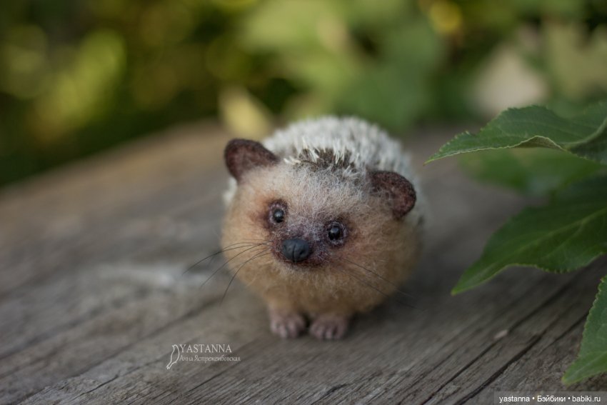 Ёжики — Валяные игрушки из шерсти: сухое валяние