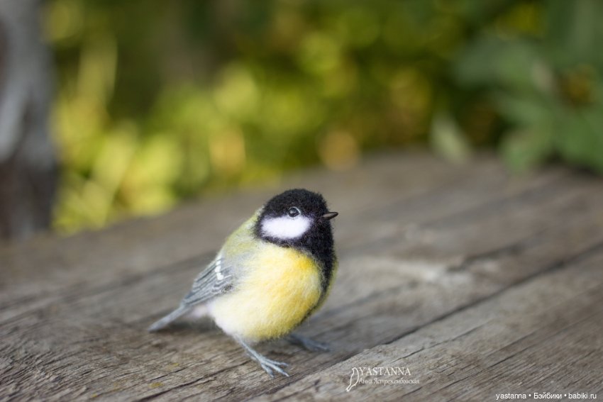 Мини птички — Валяные игрушки из шерсти: сухое валяние