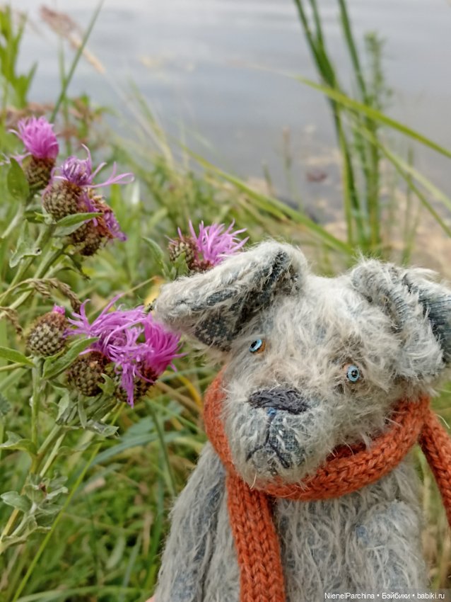 Гуляю с Джеком — Домашние фото авторских игрушек: Тедди (фото 9)