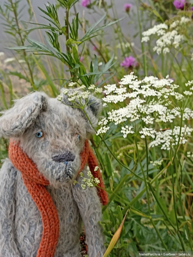 Гуляю с Джеком — Домашние фото авторских игрушек: Тедди (фото 10)