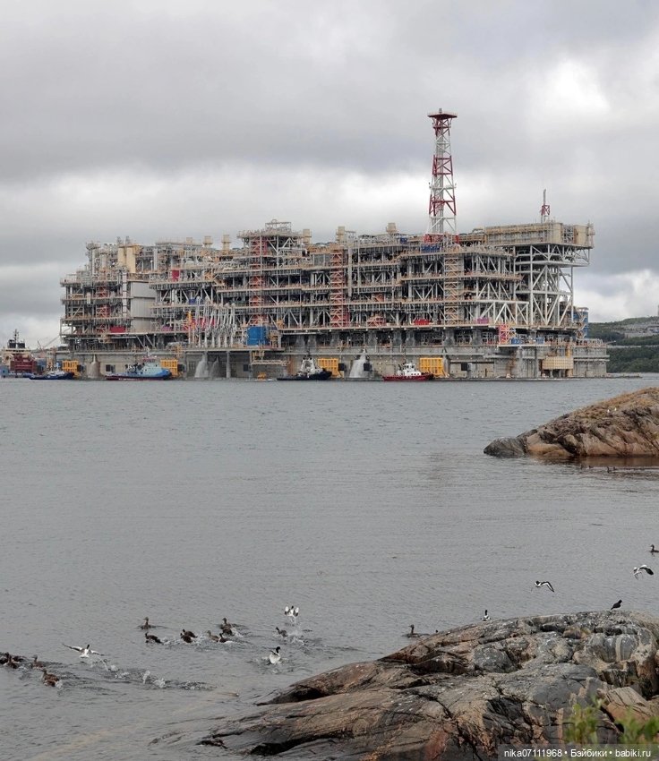 ЗнАковое событие вчера — Интересное и необычное: фотоподборки (фото 4)