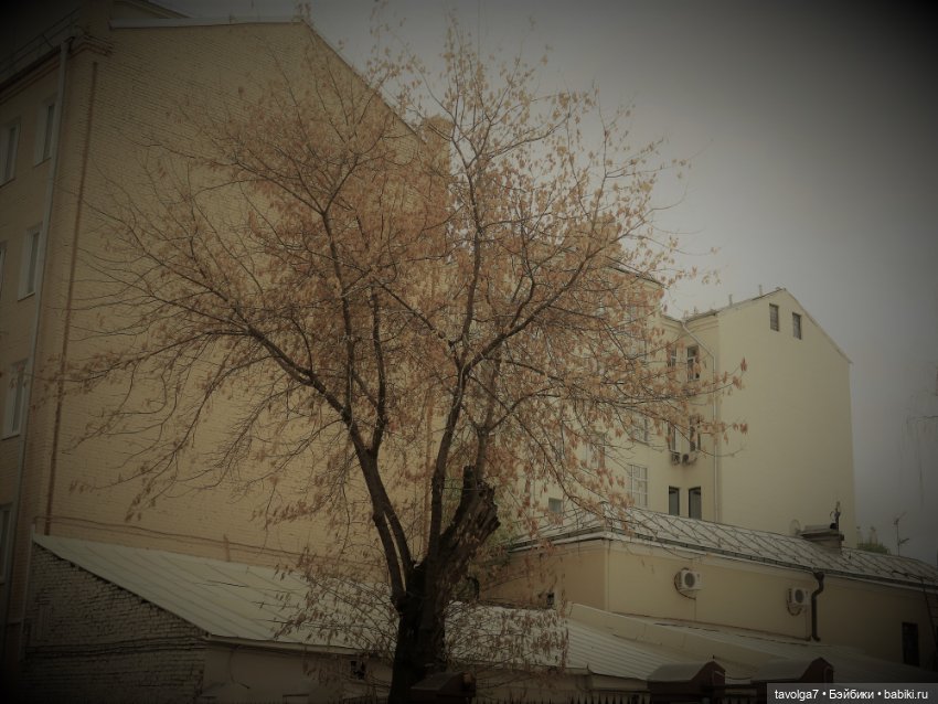 "Называя тропой." — Куклы Milim Studio (Милим): российские БЖД (фото 3)