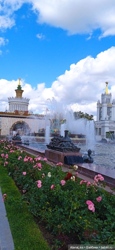 Городские цветы — Красивая природа и цветы: фото пейзажей