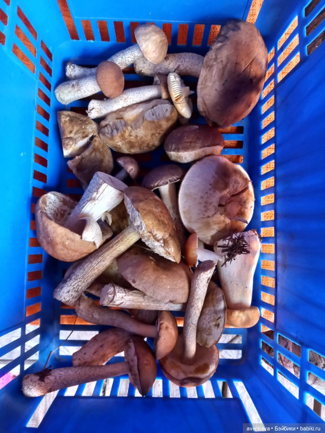 Грибное. Лесное — Интересные игрушки и фигурки (разное): редкие (фото 8)