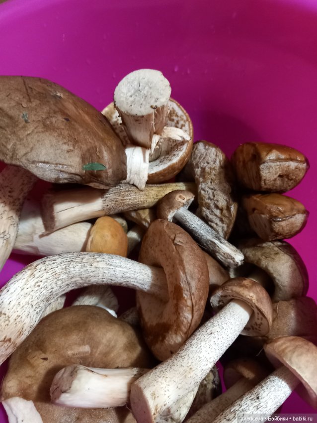 Грибное. Лесное — Интересные игрушки и фигурки (разное): редкие (фото 9)